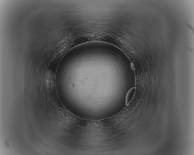 X0000091591058200708271238