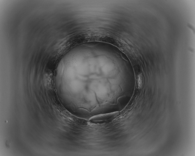 X0000091591059200708271238