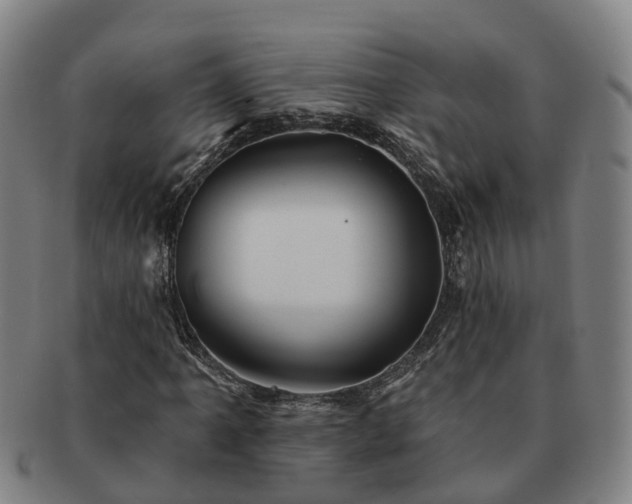 X0000091591061200708271238