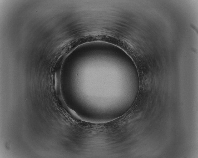 X0000091591062200708271238