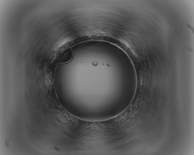 X0000091591063200708271238