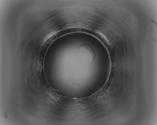 X0000091591064200708271238