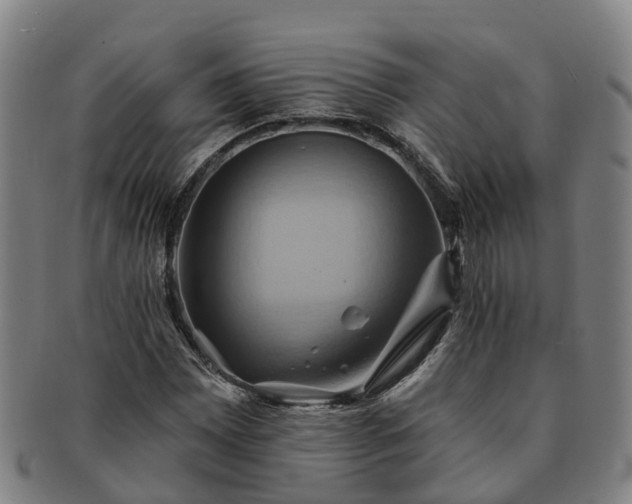 X0000091591065200708271238