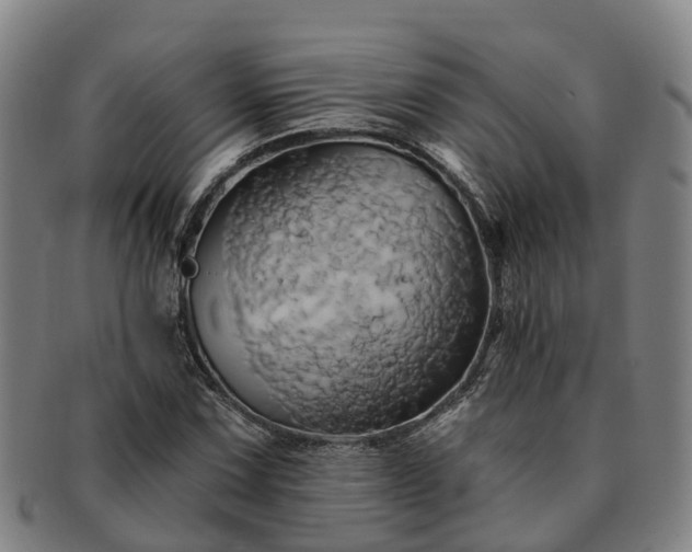 X0000091591067200708271238
