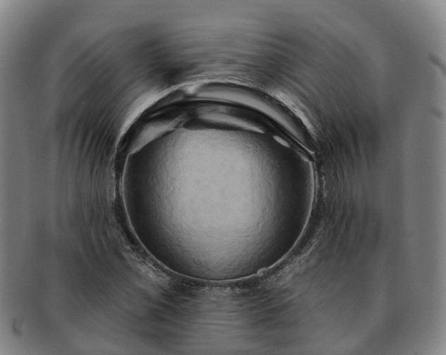 X0000091591069200708271238