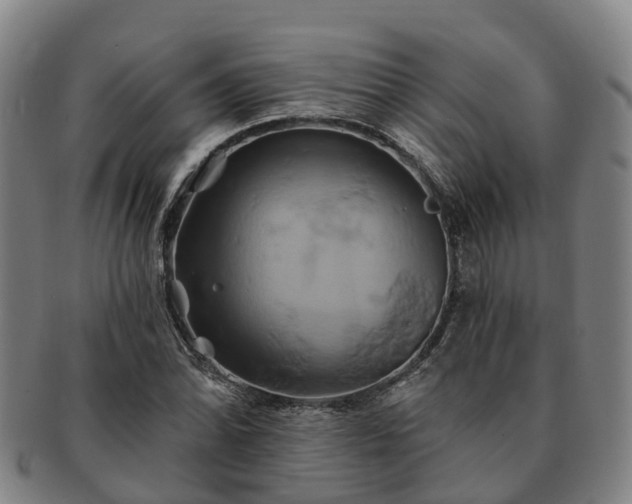 X0000091591070200708271238