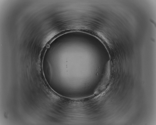 X0000091591071200708271238