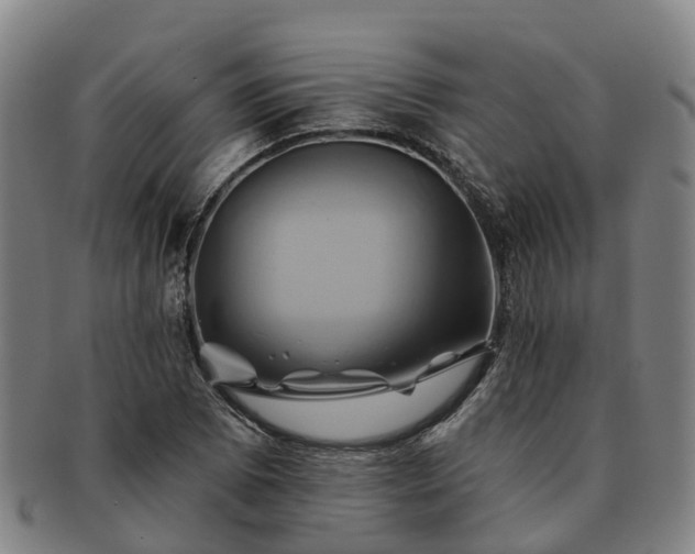 X0000091591073200708271238