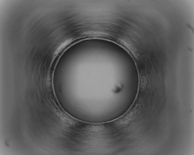 X0000091591074200708271238