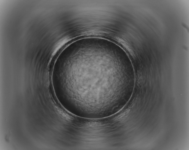X0000091591075200708271238