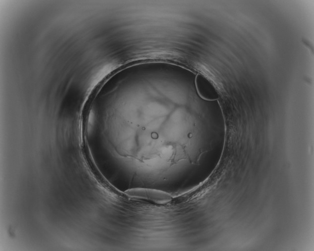 X0000091591079200708271238