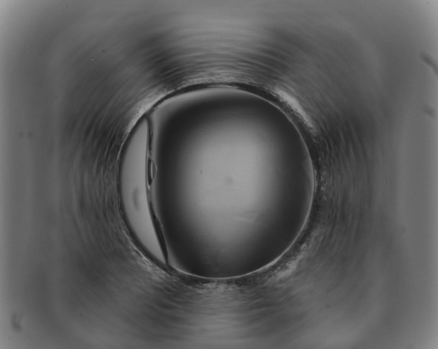 X0000091591081200708271238