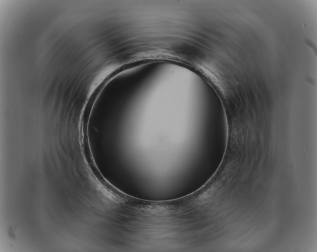 X0000091591082200708271238
