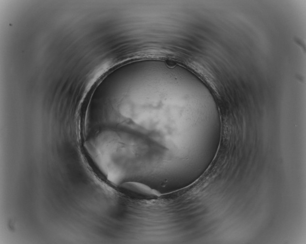 X0000091591083200708271238