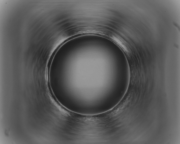 X0000091591084200708271238