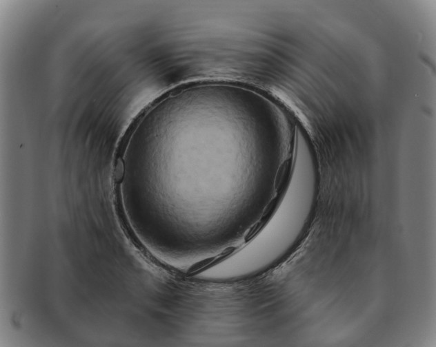 X0000091591085200708271238