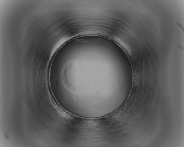 X0000091591086200708271238