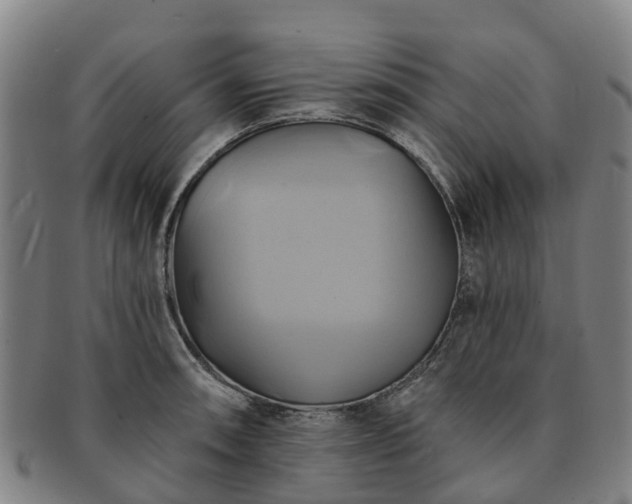 X0000091591090200708271238