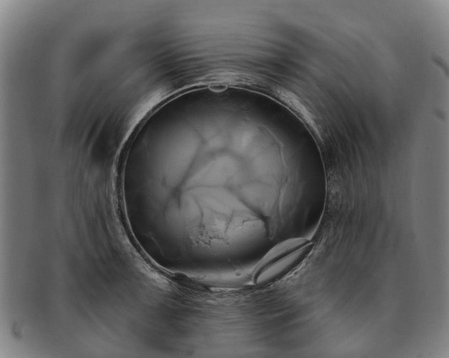 X0000091591091200708271238