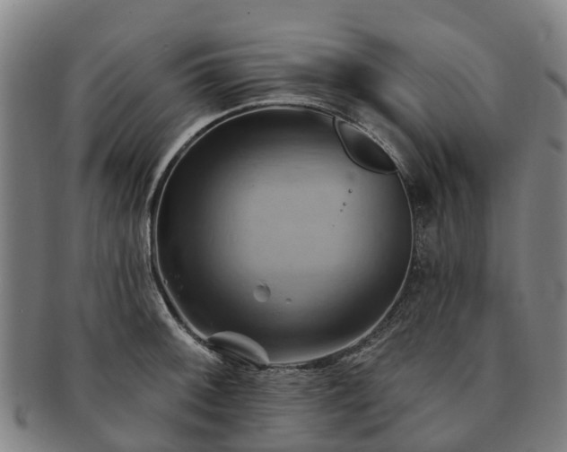 X0000091591092200708271238