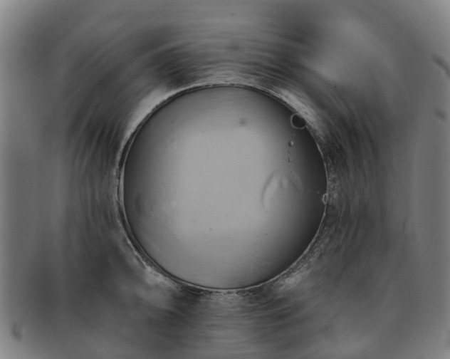 X0000091591094200708271238