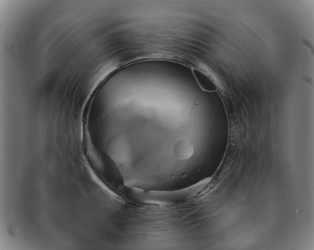 X0000091591095200708271238