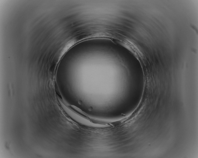 X0000091591097200708271238