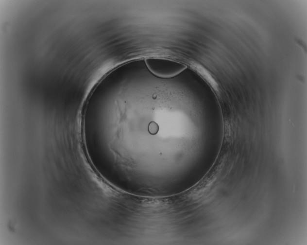 X0000091591099200708271238