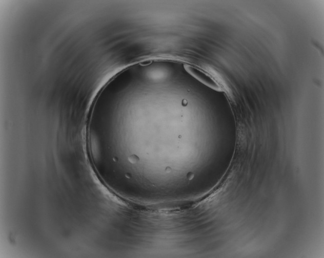 X0000091591100200708271238