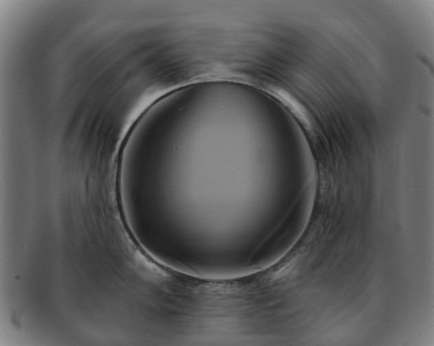 X0000091591102200708271238