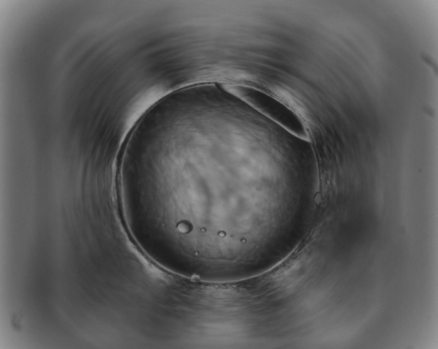X0000091591103200708271238