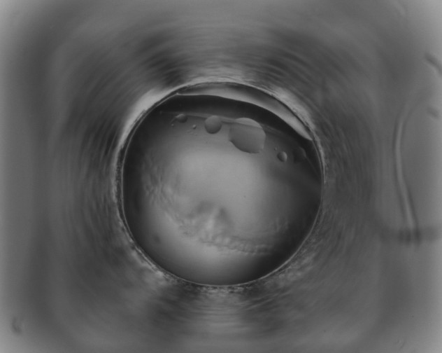 X0000091591104200708271238