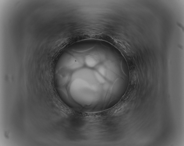 X0000091591105200708271237
