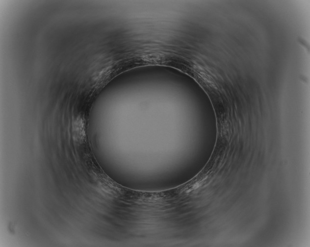 X0000091591106200708271237