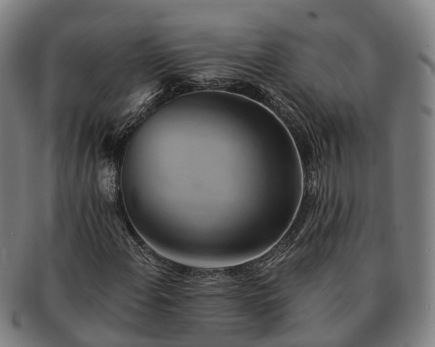 X0000091591108200708271237