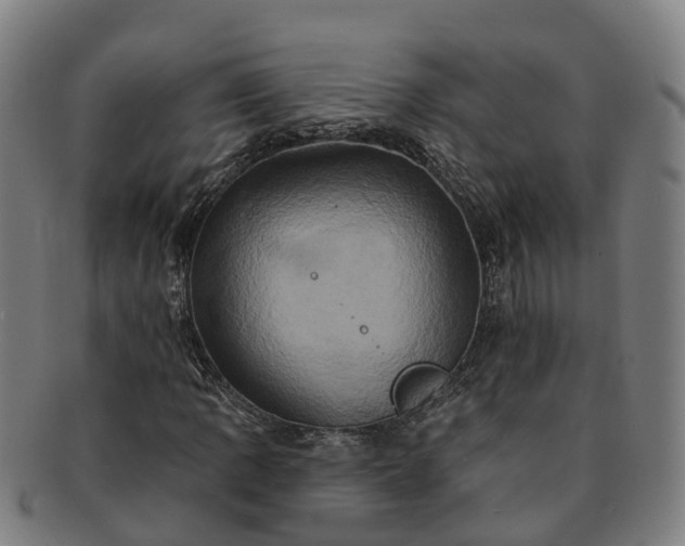 X0000091591109200708271237