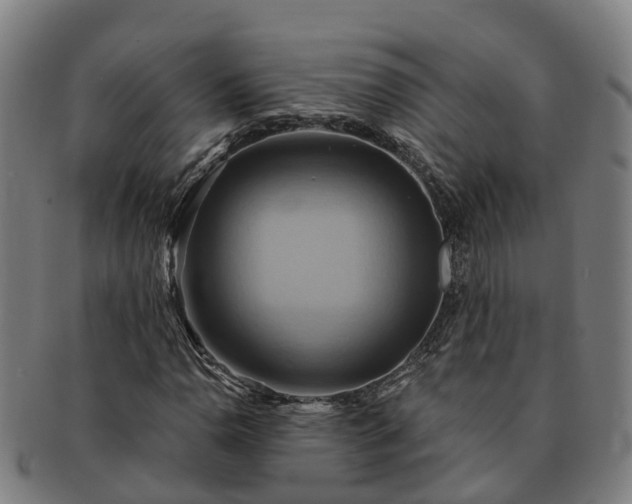 X0000091591110200708271237