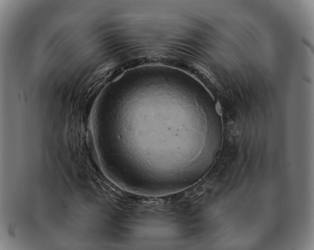 X0000091591111200708271237
