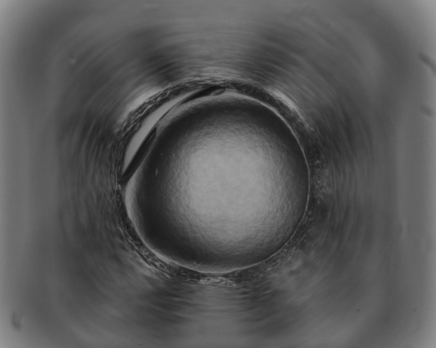 X0000091591112200708271237