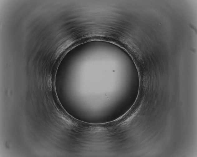 X0000091591113200708271237