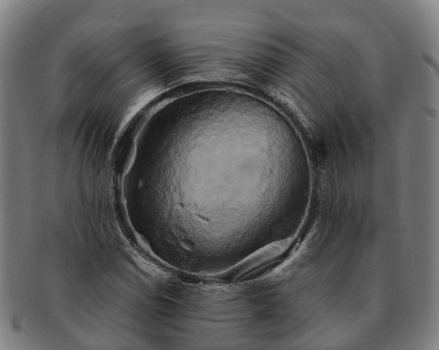 X0000091591114200708271237