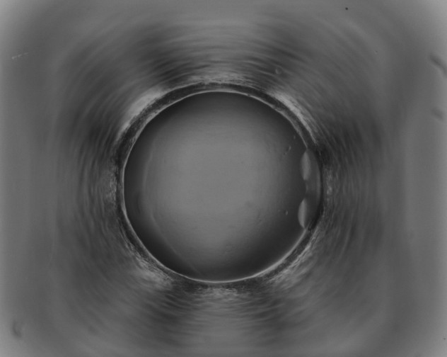 X0000091591115200708271237