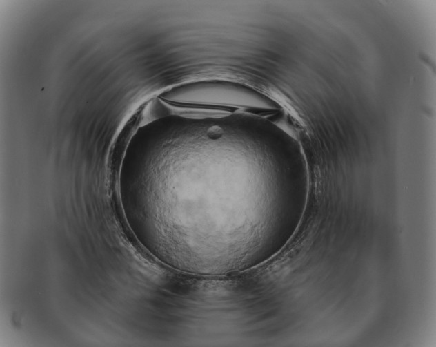 X0000091591116200708271237