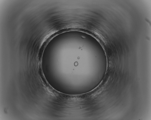 X0000091591117200708271237