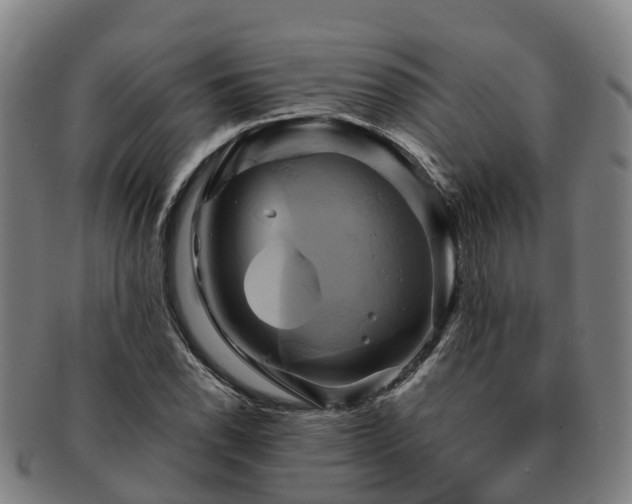 X0000091591118200708271237
