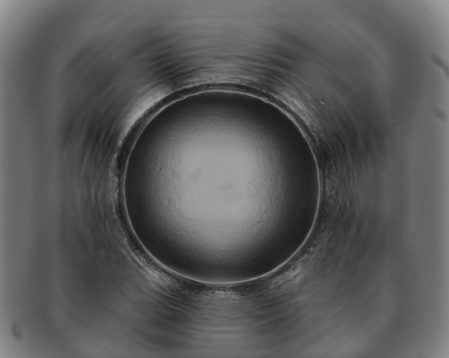 X0000091591119200708271237