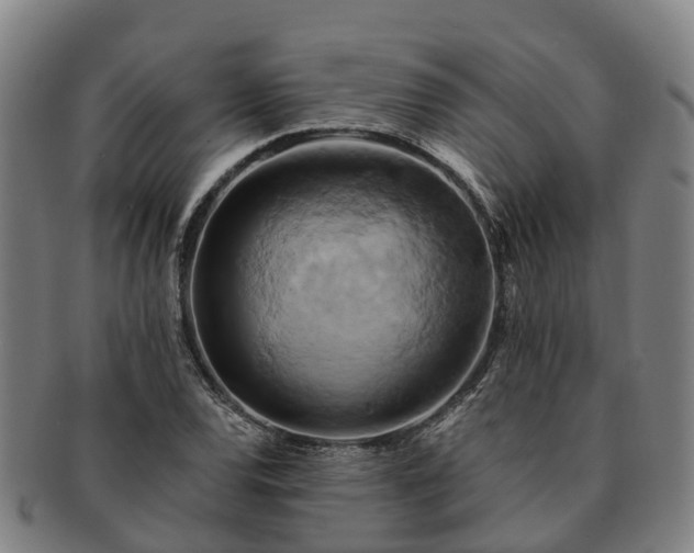 X0000091591120200708271237