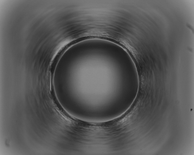 X0000091591123200708271237