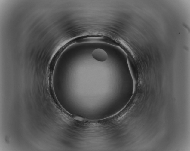 X0000091591124200708271237