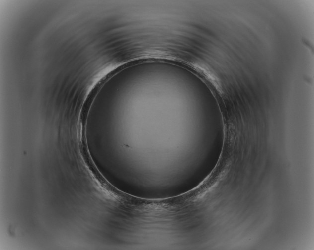 X0000091591125200708271237